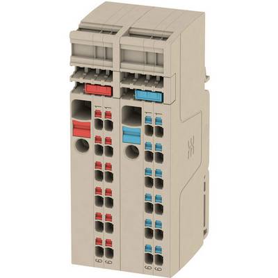 Electronic module with connectors, colour-coded in red and blue, for industrial applications. Rectangular design, vertically stacked.