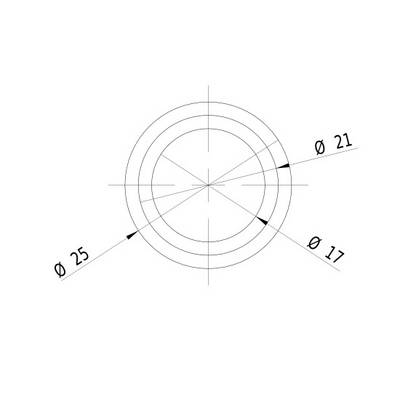 Technical drawing of a circle with three concentric circles. Diameters are specified as \(\varnothing 25\), \(\varnothing 21\), and \(\varnothing 17\).