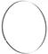 A continuous, thin black band that is shaped into a large circle, set against a white background.