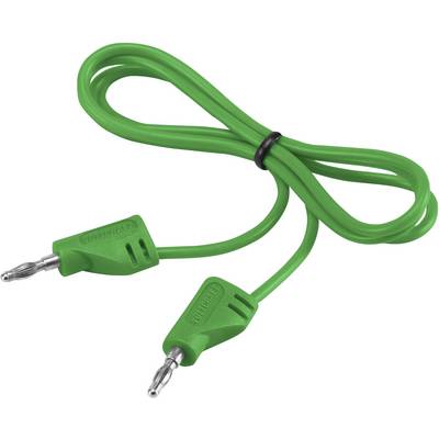 Green cable with two identical plugs at the ends, both with a metal tip, lying side by side; cable formed into a loop.
