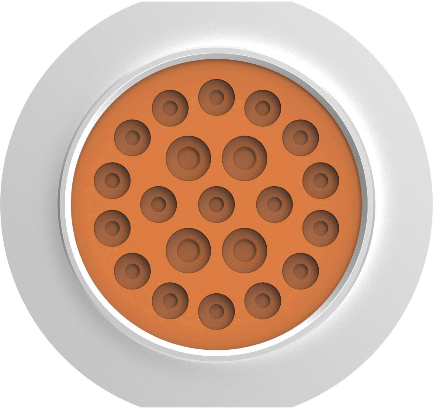 A round, white object with a central orange area and several evenly spaced circular indentations.