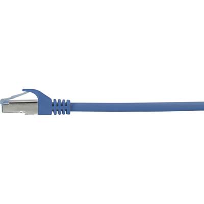 A blue Ethernet cable with connector, pictured from the side. Suitable for connecting computers to networks.