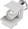 Renkforce RF-KS-FPAL Coax module Keystone 1 pc(s)