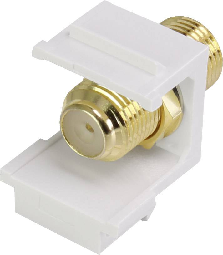 Renkforce RF-KS-FKP F module Keystone 1 pc(s)