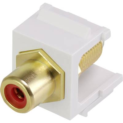 A female RCA socket in a white Keystone adapter, used for audio or video connection in electronic devices.