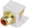 A female RCA socket in a white Keystone adapter, used for audio or video connection in electronic devices.