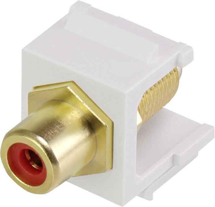 Renkforce RF-KS-RCAFR RCA module Keystone 1 pc(s)