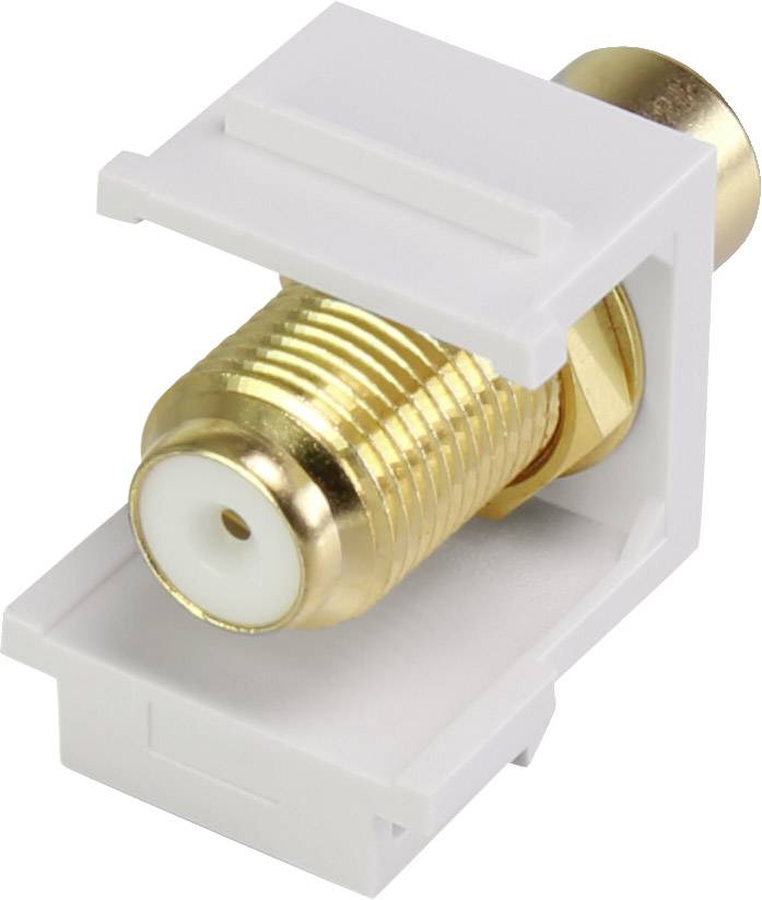 Golden coaxial connector in a white, rectangular housing, for connecting cables to transmit TV signals.