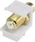 Golden coaxial connector in a white, rectangular housing, for connecting cables to transmit TV signals.