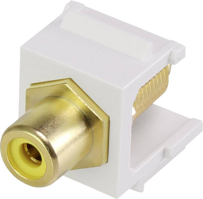 Renkforce RF-KS-RCAFG RCA module Keystone