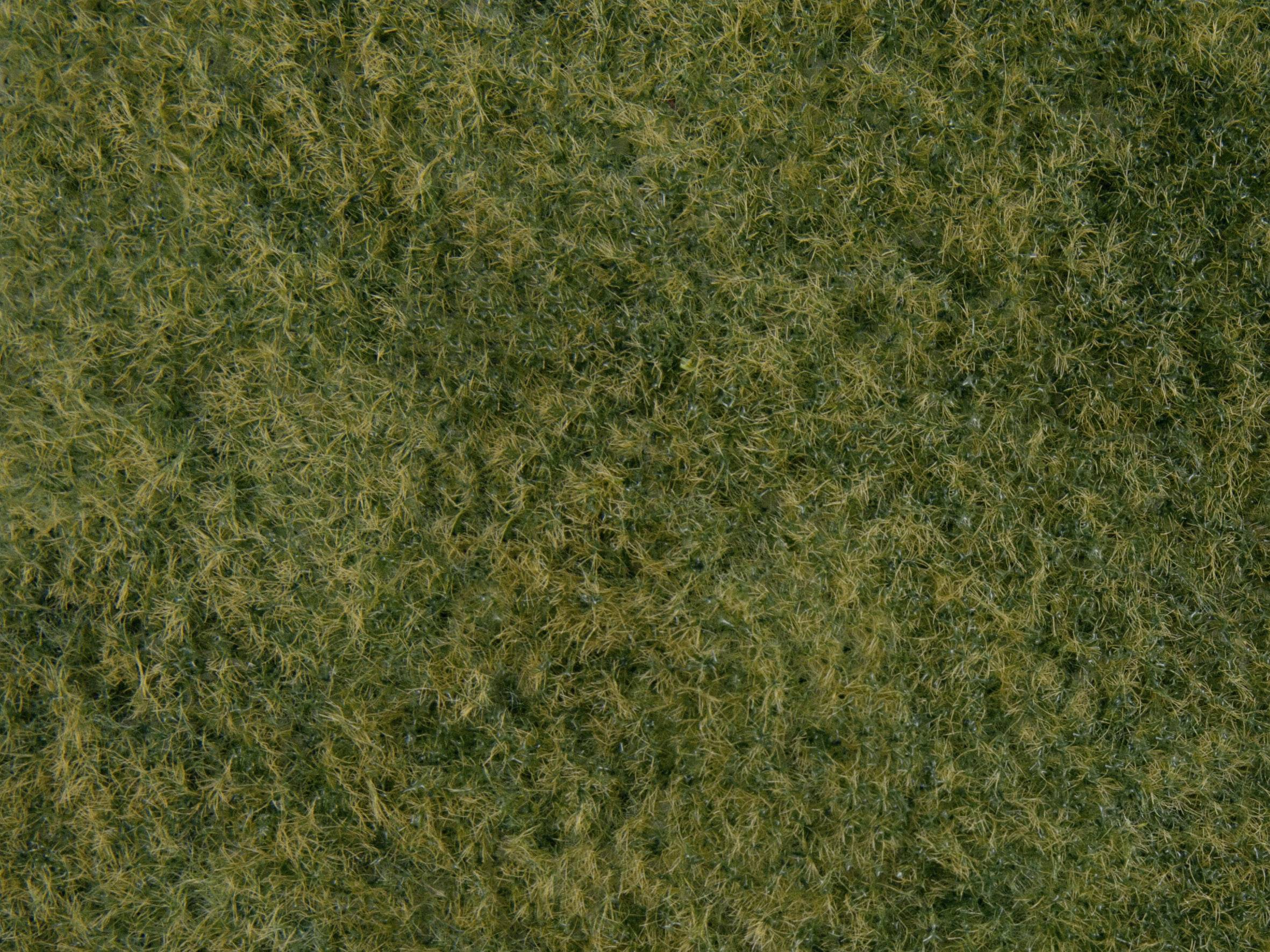 olivgrün NOCH 07282 Wildgras-Foliage 20 x 23 cm Grundpreis qm = 143,48 Euro
