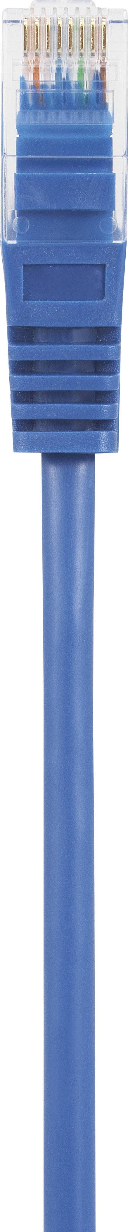 Blue Ethernet cable with RJ45 plug, used for network connections and data transmission.