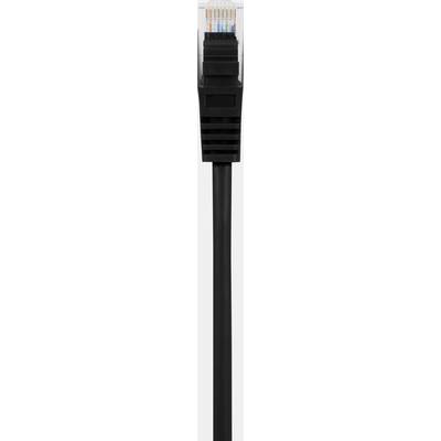 A black Ethernet cable with a transparent RJ45 plug, with coloured wires visible inside the connector.