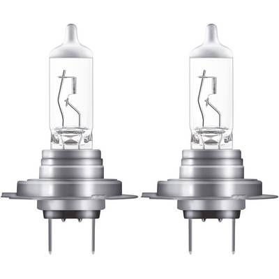 Two identical halogen lamps with clear glass casings and visible filaments, positioned side by side on a white background.