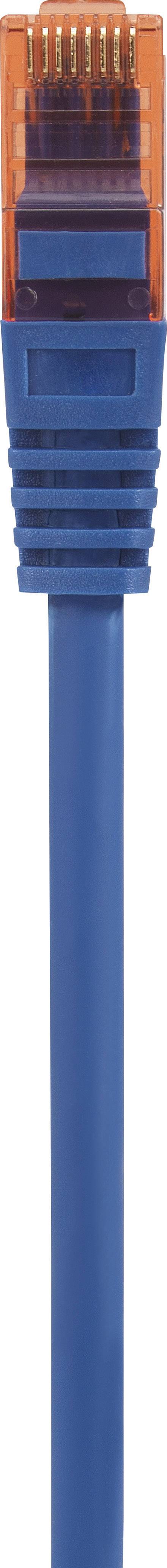 A blue Ethernet cable plug with an orange plastic casing.