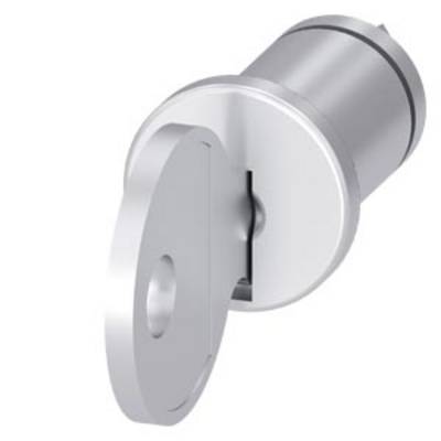 Cylinder lock with cylinder key in a screw lock. Compact design, typical security locking system.