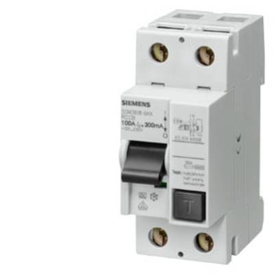 A Siemens RCD (Residual Current Device) protection switch, 100 A and 300 mA. White casing, black toggle switches. Model and specification details on top.