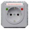 Siemens Switch product range Insert Surge protection Silver 5UB1460 1 pc(s)