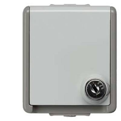 Grey key switch housing with a round key lock located bottom right. Suitable for controlling electrical devices.