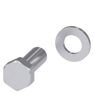 Silver screw and washer on a white background.
