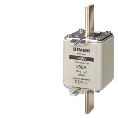 A square, silver Siemens device. Labelled with '250V', for electrical use. Copper contacts at the top and bottom.