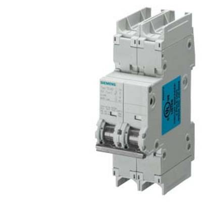 'A two-pole circuit breaker by Siemens, designed for 250V, 32A. It is white with blue and green markings.'