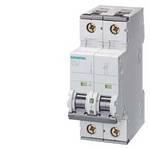 CIRCUIT BREAKER 10KA 1+N-POL D6