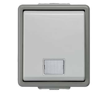 A grey light switch with a rectangular frame and a small, ridged button at the bottom.
