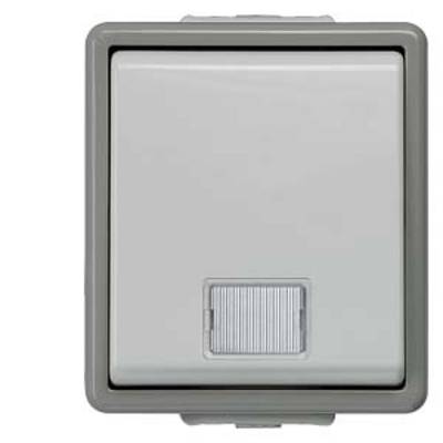 A grey light switch with a rectangular frame and a small, ridged button at the bottom.