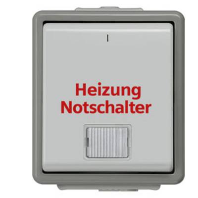 Square grey switch with red lettering 'Heating Emergency Switch', with a toggle switch beneath it.