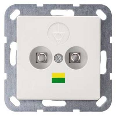 A white socket with two round openings and a yellow-green symbol beneath it. It is designed for wall mounting.