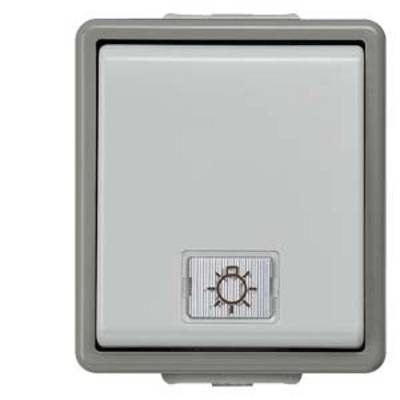 Light switch with a lightbulb symbol, grey-bordered.