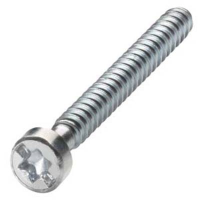 A silver machine screw with a cross-head lies on a white background. It has a uniform thread and reflects light.