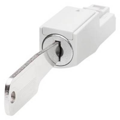 A silver key is inserted into a white electrical switch.