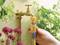 A hand connects a yellow garden hose to an outside water tap. Flowering plants can be seen in the background.