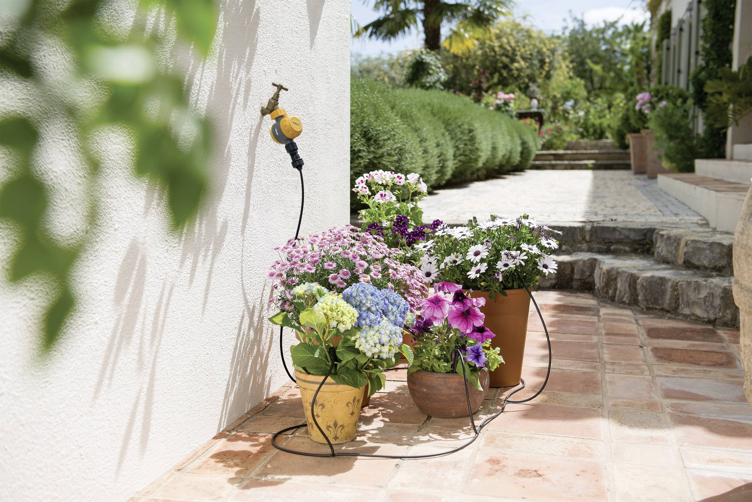 Potted plants with colourful flowers on a terrace beside a wall, with a hosepipe nearby. A garden path in the background.