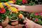 Two hands connect a yellow garden hose with a spray nozzle; flower pots with colourful flowers stand in the background.