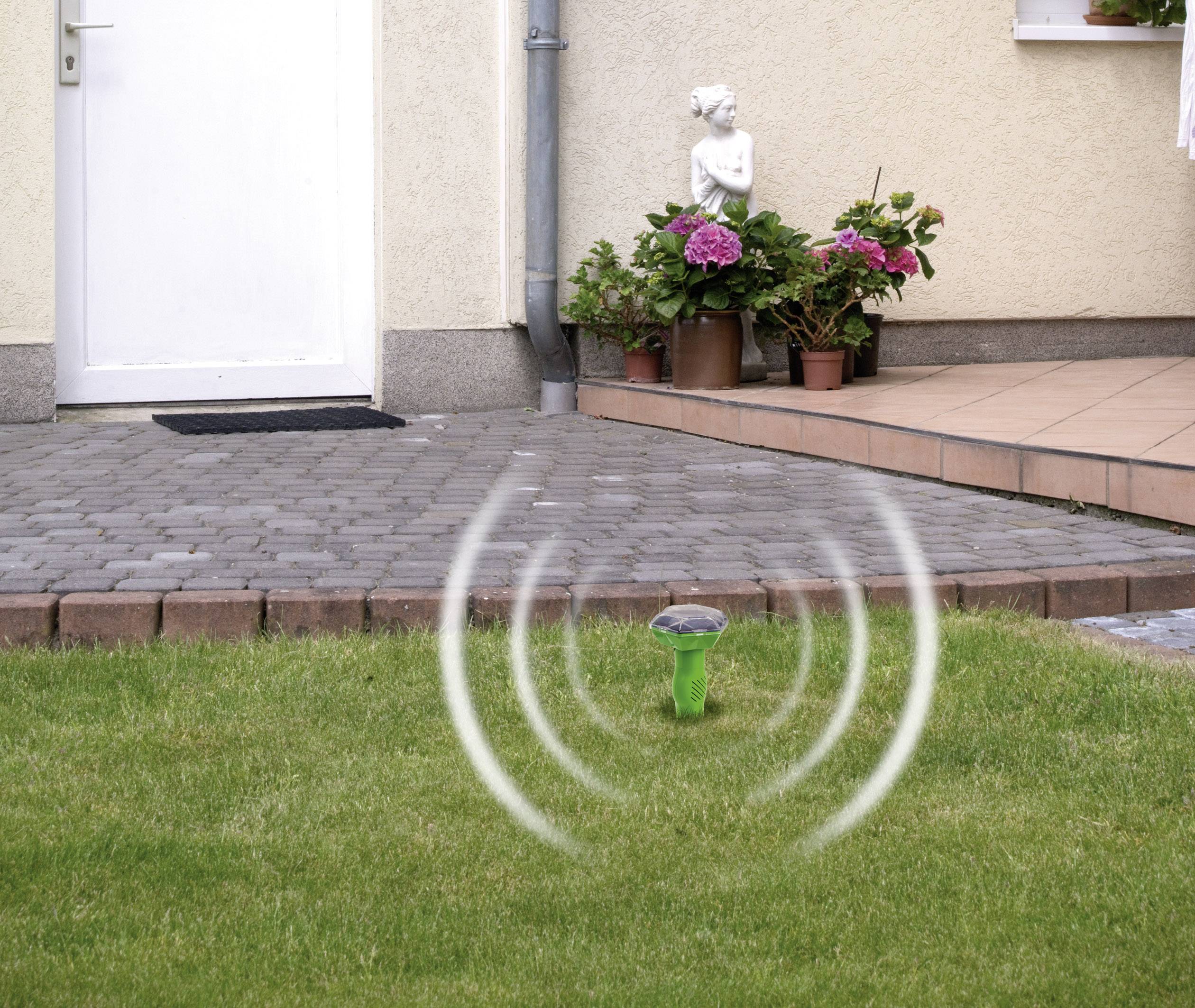 Gardigo Diamant Arvicolinae trap Working principle Vibration, Multi-frequency Operating range 700 m² 1 pc(s)-6