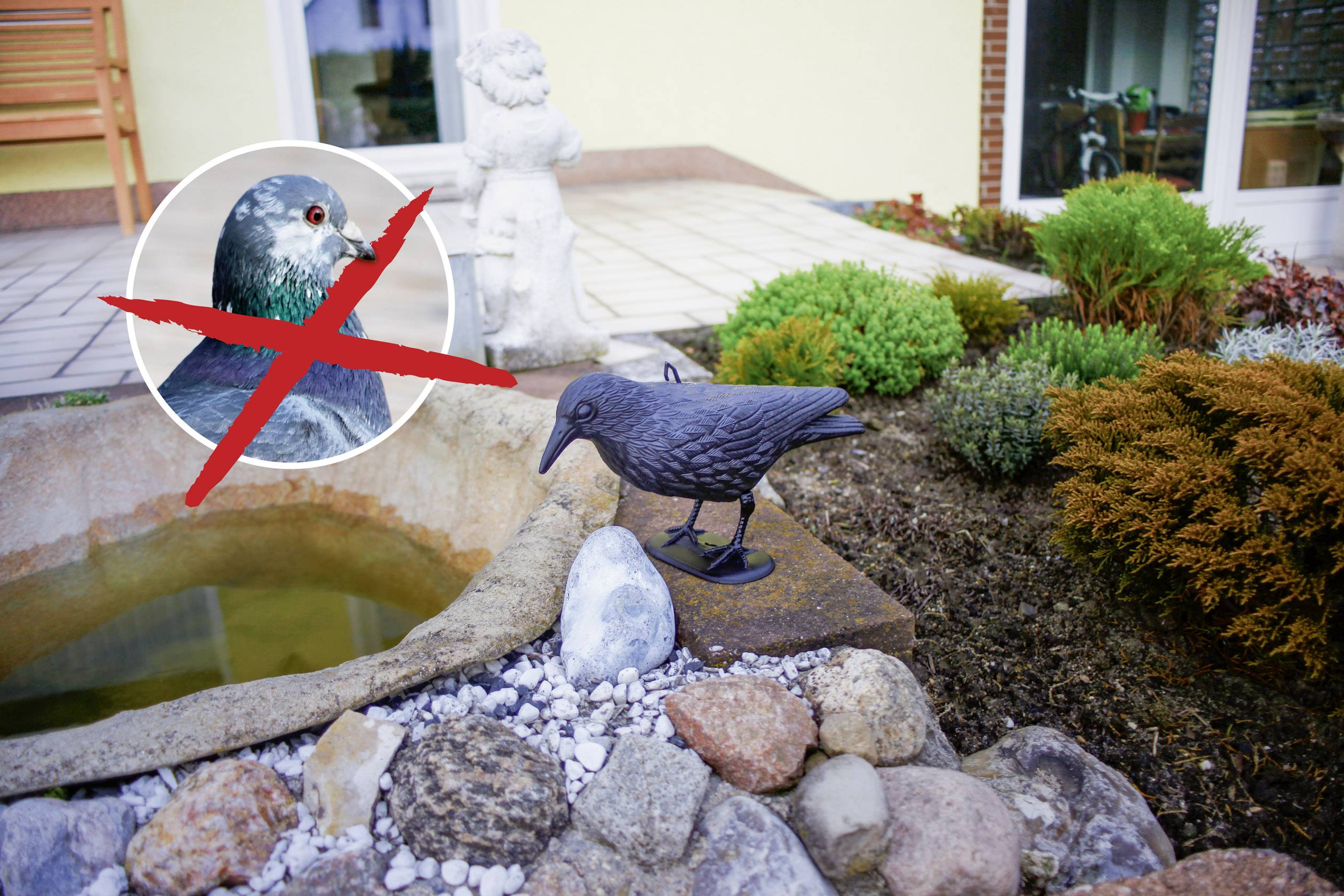 A plastic raven stands in a garden. An image of a dove prohibition sign is inserted in the corner to deter pigeons.