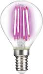 E14 LED (monochrome) 4 W Pink N/A Filament