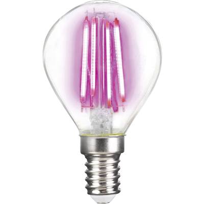 LightMe LM85313 LED (monochrome) EEC G (A - G) E14 Teardrop shape 4 W Pink (Ø x L) 45 mm x 78 mm Filament 1 pc(s)