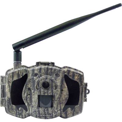 Wildlife camera with camouflaged casing and long antenna for monitoring wildlife in their natural habitat.