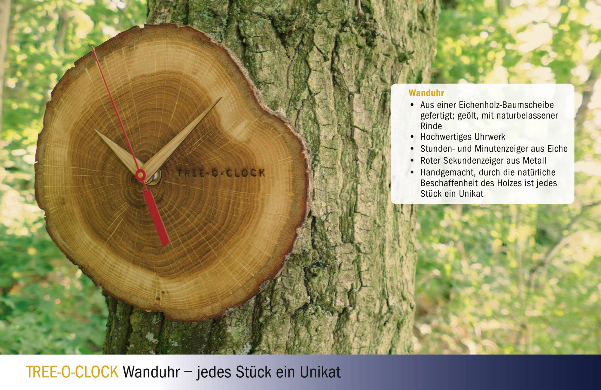 'TREE-O-CLOCK' Wall Clock: Round, crafted from oak wood with red and golden hands, hanging on a tree in the forest. Each clock is a unique piece.