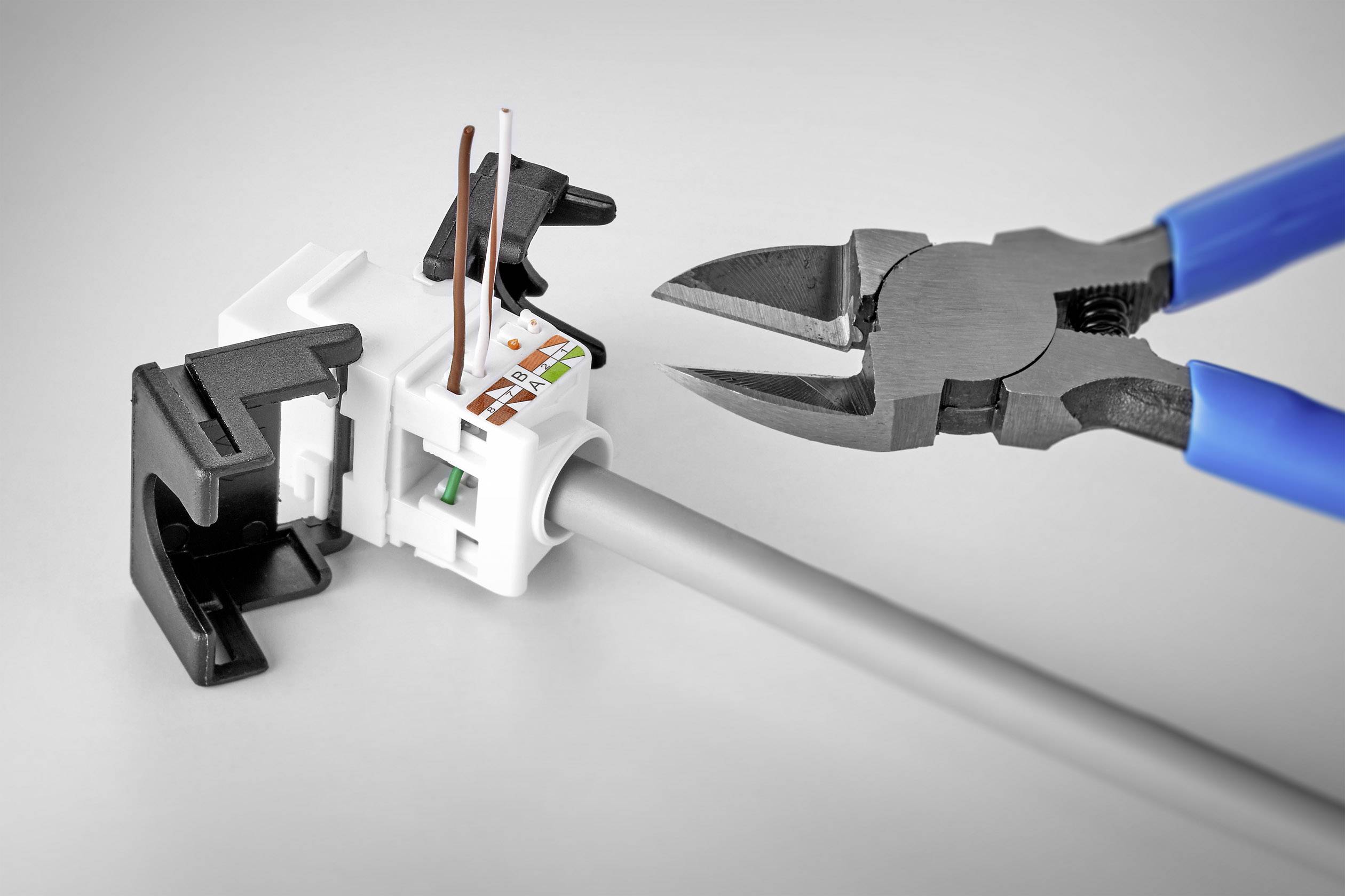 Network cable connectors with stripped cables and a pair of pliers made of metal and blue plastic, ready for installation.