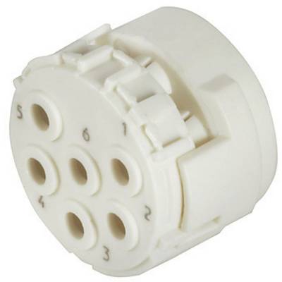 A white, round plastic plug with six numbered connection holes arranged in a circle.