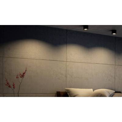 A minimalist bedroom with a concrete wall, soft cushions and subtle lighting. A single branch with red blossoms adds a touch of colour.