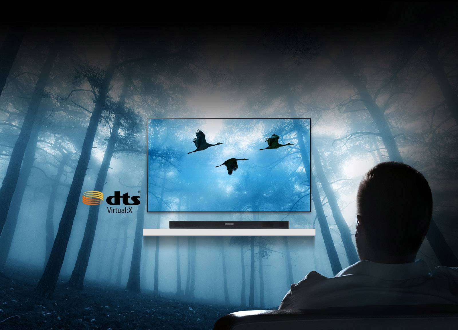 LG Electronics SK5 Soundbar Black High-res audio, incl. cordless subwoofer, USB-1