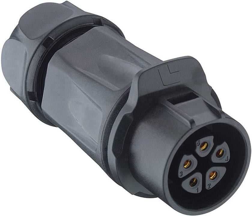 A black electric plug with six pins, partially numbered, is pointing towards the camera. The plug has a robust plastic housing.