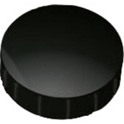 Maul Magnet MAULsolid (Ø x H) 20 mm x 7.5 mm Round Black 10 pc(s) 6162090-0