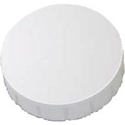 Maul Magnet MAULsolid (Ø x H) 24 mm x 8 mm Round White 10 pc(s) 6162402-0